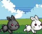 2 Kişilik Sevimli Tavşanlar