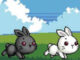 2 Kişilik Sevimli Tavşanlar