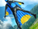 Base Jump Wing Suit Flying